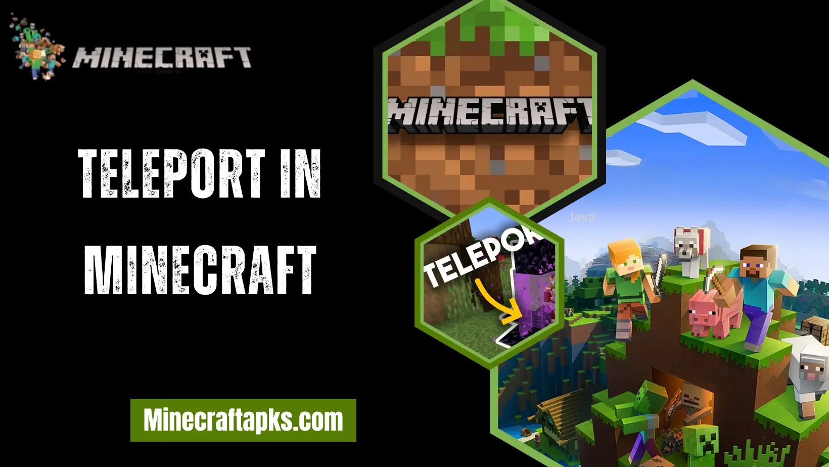 Teleport in Minecraft
